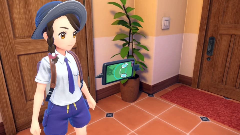 NS Switch Pokemon Sword Shield Early Purchase Bonus Luggage Name