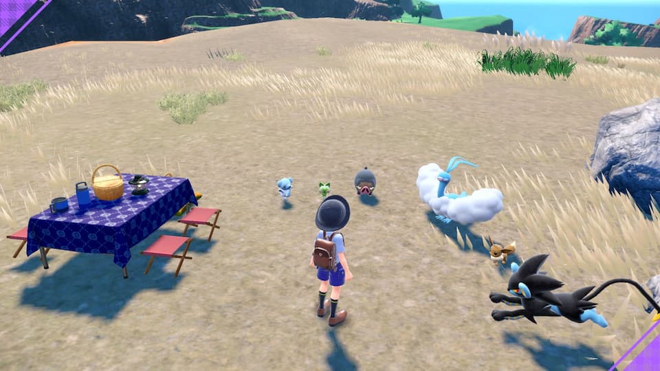 Have a Picnic gameplay