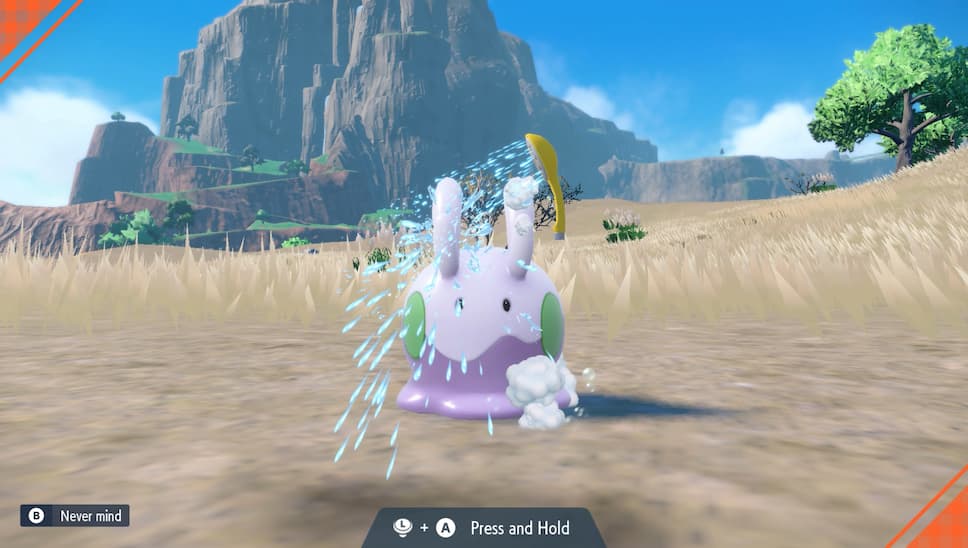 Give Your Pokémon a Good Scrub gameplay