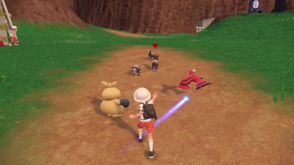 Gameplay screenshot, player character and multiple Pokémon