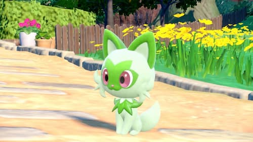 X 上的 Pokémon España：「Presentamos a Sprigatito, el caprichoso Pokémon Gato  Planta que adora ser el centro de atención. 🍃🐾 ¿Elegirás a Sprigatito en Pokémon  Escarlata y Pokémon Púrpura? ❤️💜 #EscarlataPurpura   /